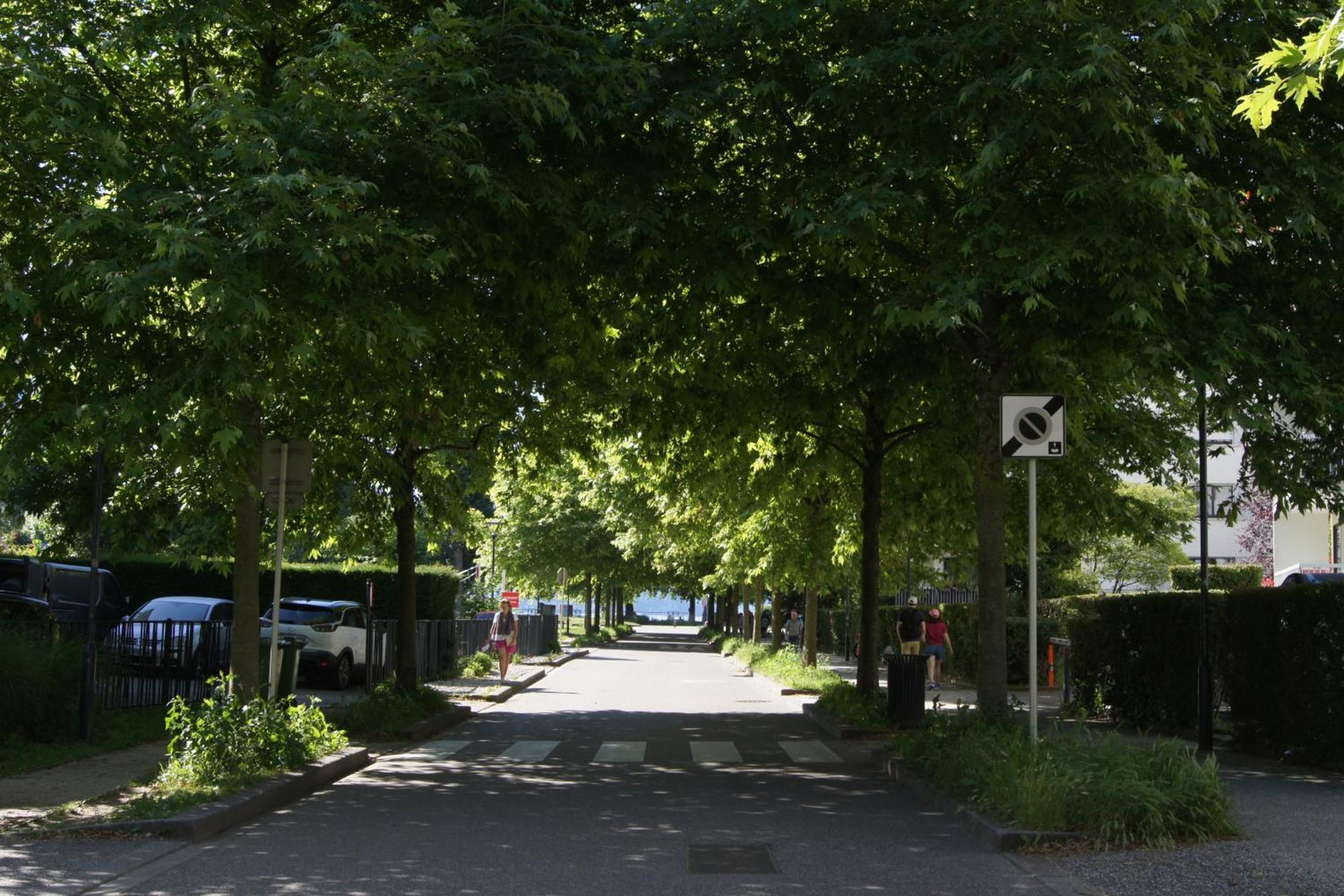 Studio Albigny A 200 M Du Lac D'Annecy Daire Dış mekan fotoğraf